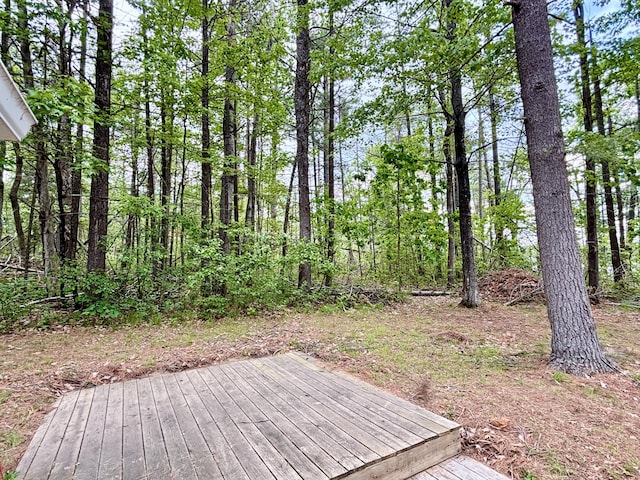 5530 Wolf Lake Dr, Lewiston, MI 49756 - photo 29