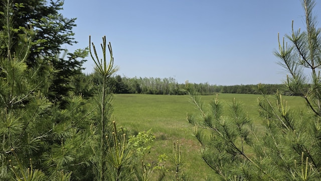 8415 Schultz Rd, Rogers City, MI 49779