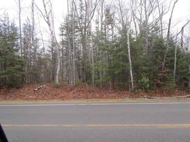 14230 Mackinaw Hwy, Mackinaw City, MI 49701 - photo 6
