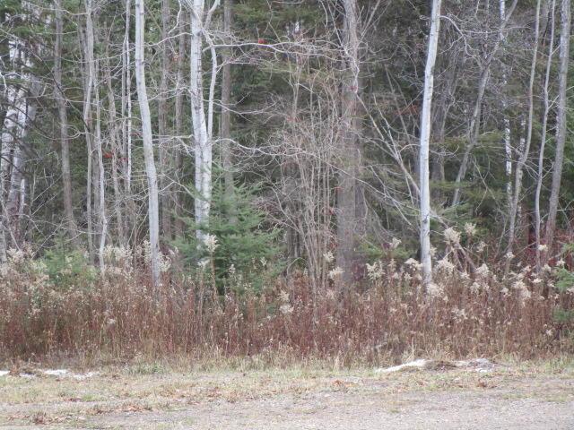 14230 Mackinaw Hwy, Mackinaw City, MI 49701 - photo 12