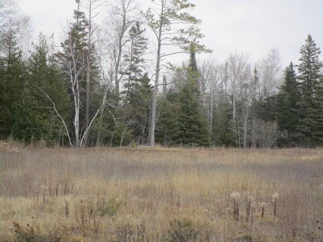 14230 Mackinaw Hwy, Mackinaw City, MI 49701 - photo 13