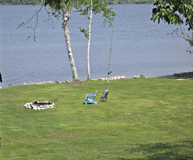 32132 W Birch Shores Dr, Trout Lake, MI 49793 - photo 10