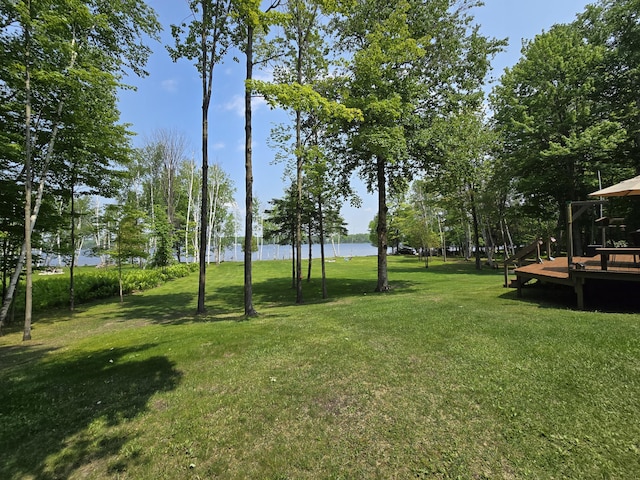 32132 W Birch Shores Dr, Trout Lake, MI 49793 - photo 36
