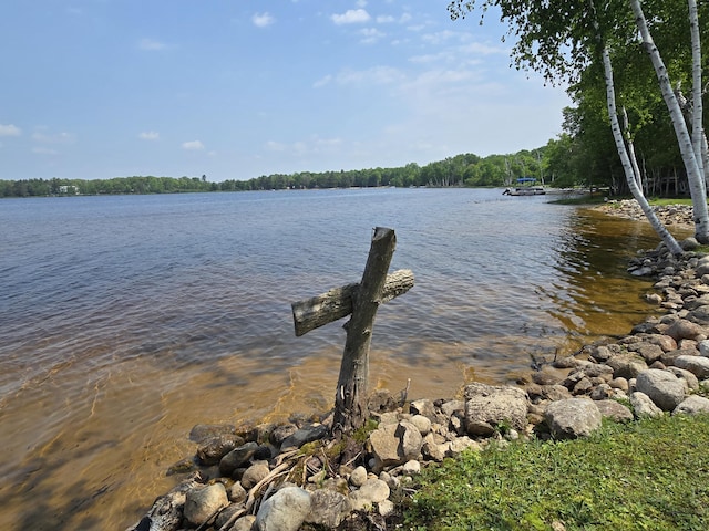 32132 W Birch Shores Dr, Trout Lake, MI 49793 - photo 38