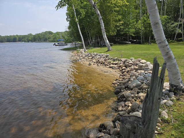 32132 W Birch Shores Dr, Trout Lake, MI 49793 - photo 39