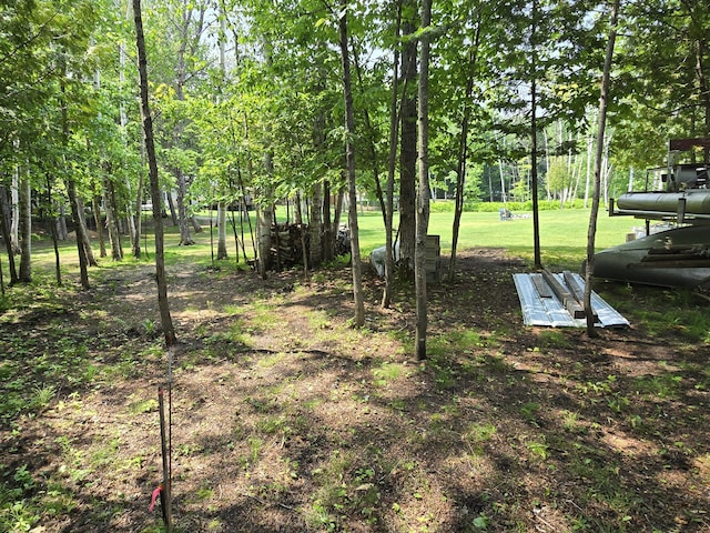 32132 W Birch Shores Dr, Trout Lake, MI 49793 - photo 42