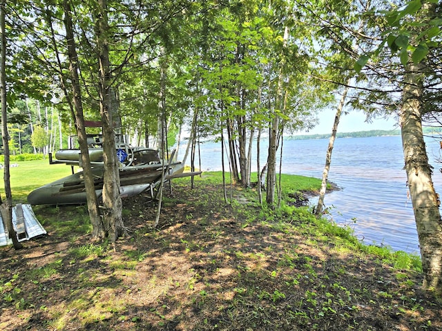 32132 W Birch Shores Dr, Trout Lake, MI 49793 - photo 43