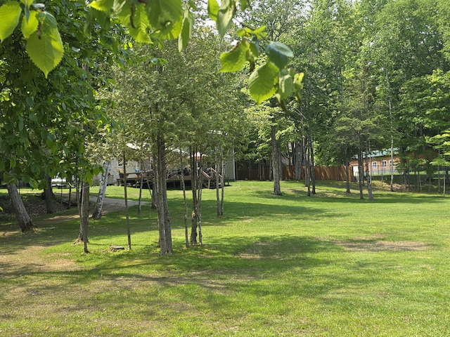 32132 W Birch Shores Dr, Trout Lake, MI 49793 - photo 46