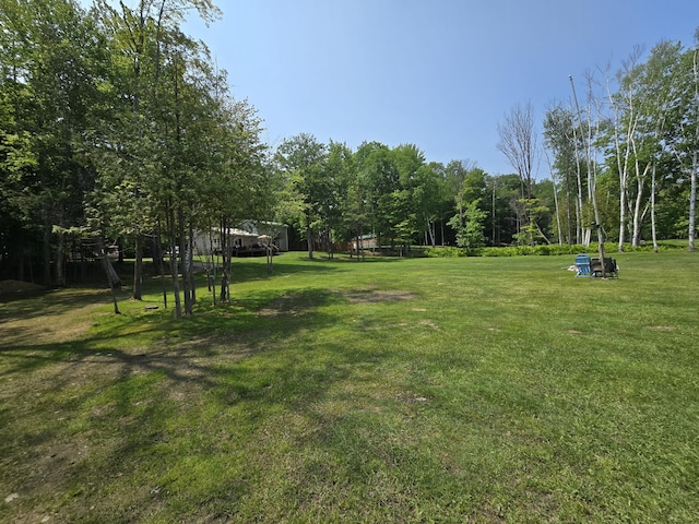 32132 W Birch Shores Dr, Trout Lake, MI 49793 - photo 47