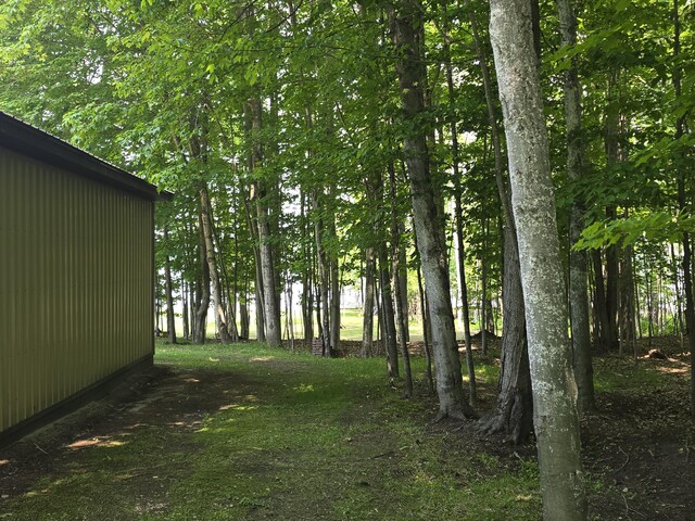 32132 W Birch Shores Dr, Trout Lake, MI 49793 - photo 52