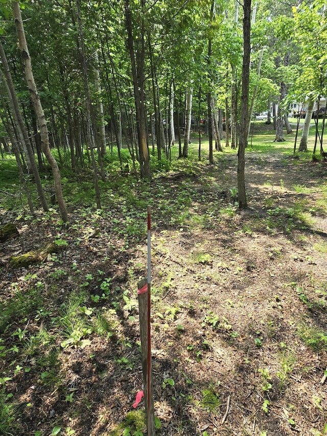32132 W Birch Shores Dr, Trout Lake, MI 49793 - photo 44
