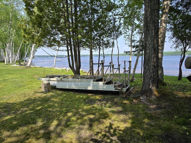 32132 W Birch Shores Dr, Trout Lake, MI 49793 - photo 45