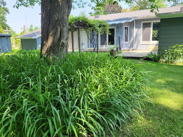 1251 Kingston Ave, Flint, MI 48507 - view of green lawn with a storage shed