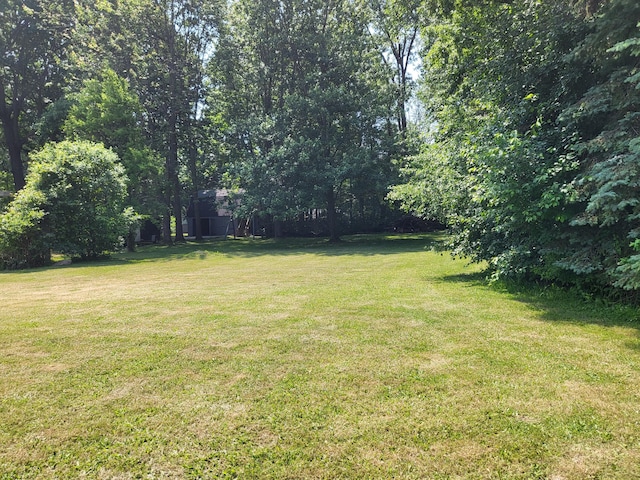 1251 Kingston Ave, Flint, MI 48507 - view of grassy yard
