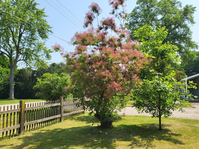 1251 Kingston Ave, Flint, MI 48507 - view of yard