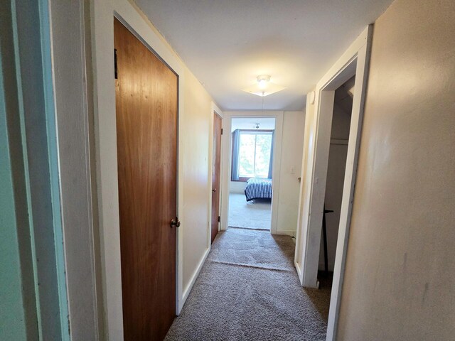 126 Tonkin St, Beaverton, MI 48612 - photo 23