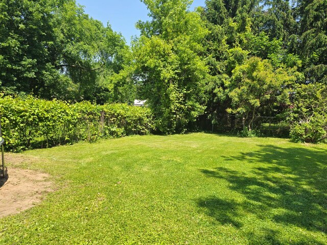 126 Tonkin St, Beaverton, MI 48612 - photo 25