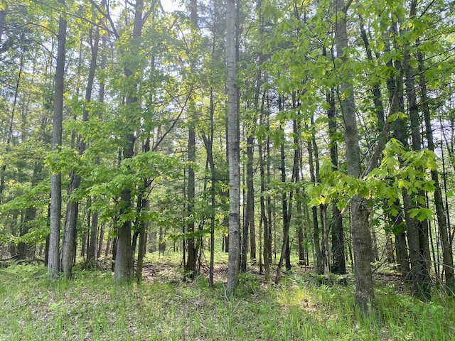 1087 Michaywe Dr 1086, Gaylord, MI 49735