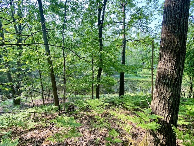 1087 Michaywe Dr 1086, Gaylord, MI 49735