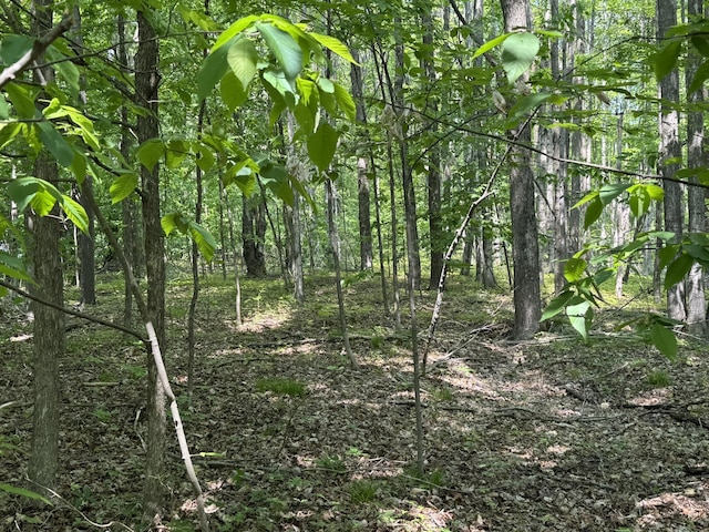 2199 Mann Rd, Cheboygan, MI 49721