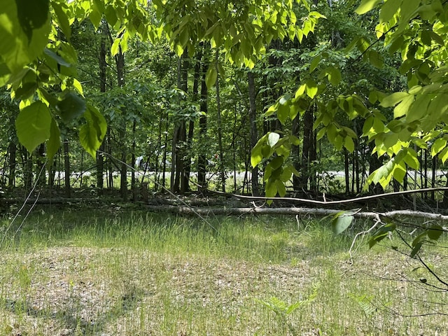 2199 Mann Rd, Cheboygan, MI 49721