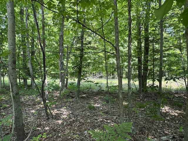 2199 Mann Rd, Cheboygan, MI 49721