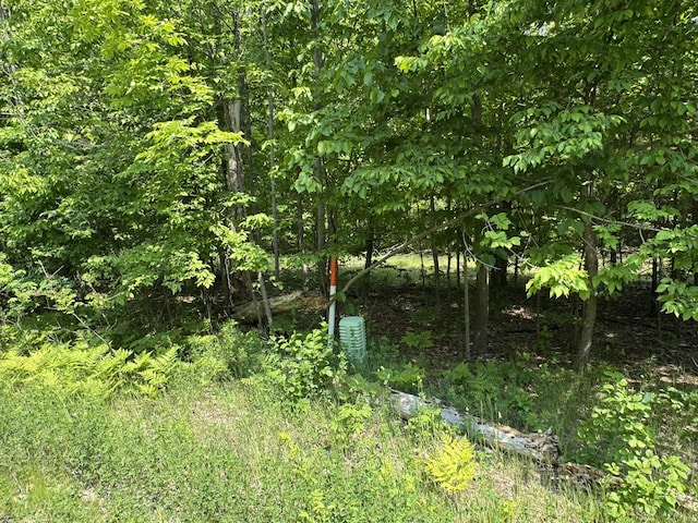 2199 Mann Rd, Cheboygan, MI 49721