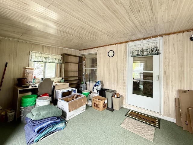 95 Earth Ave, Cheboygan, MI 49721 - photo 4