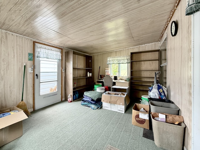95 Earth Ave, Cheboygan, MI 49721 - photo 5