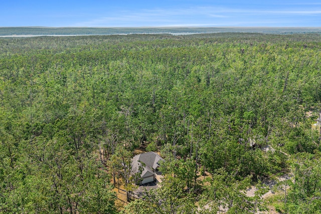 6296 Wolverine Trl, Gaylord, MI 49735 - aerial view of a heavily wooded area