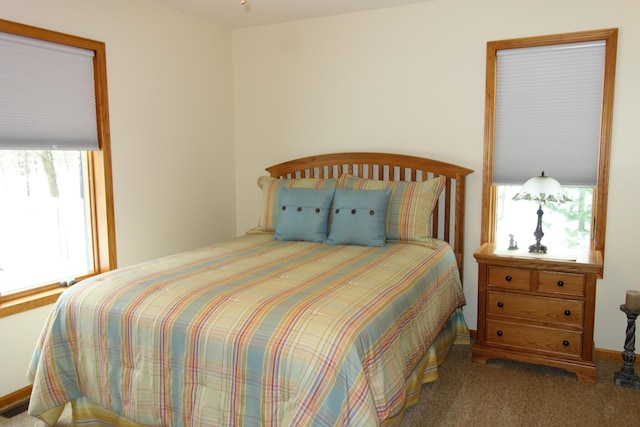 6296 Wolverine Trl, Gaylord, MI 49735 - bedroom with multiple windows and carpet flooring