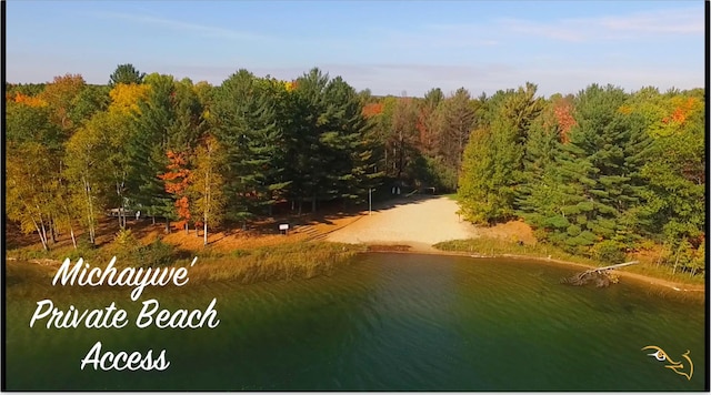 6296 Wolverine Trl, Gaylord, MI 49735 - water view featuring a heavily wooded area