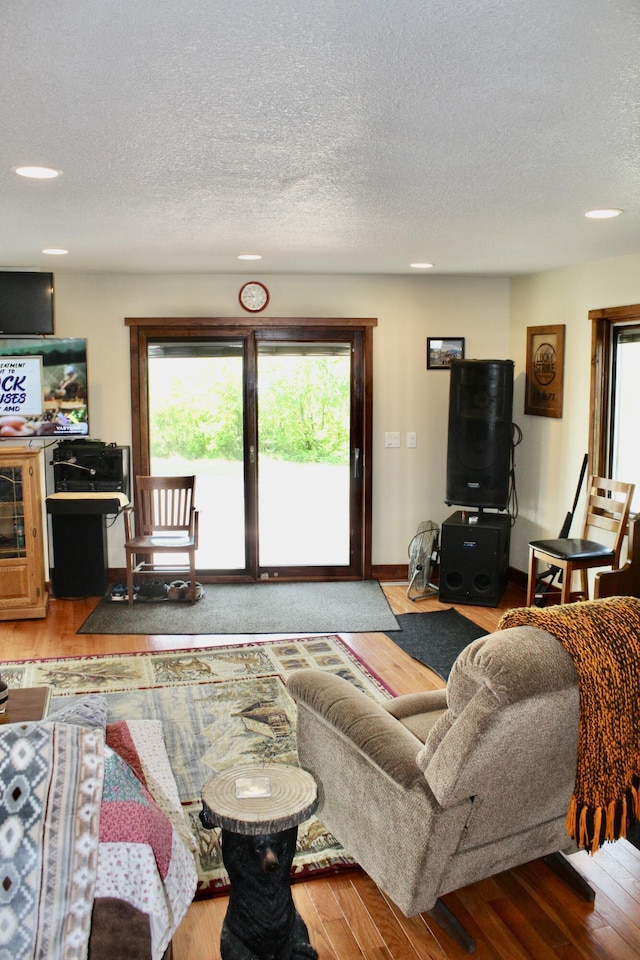 3009 NE Trl, Grayling, MI 49738 - living room featuring wood finished floors, plenty of natural light, a textured ceiling, and recessed lighting