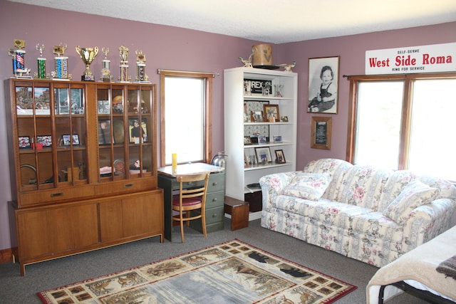 3009 NE Trl, Grayling, MI 49738 - carpeted living room featuring healthy amount of natural light