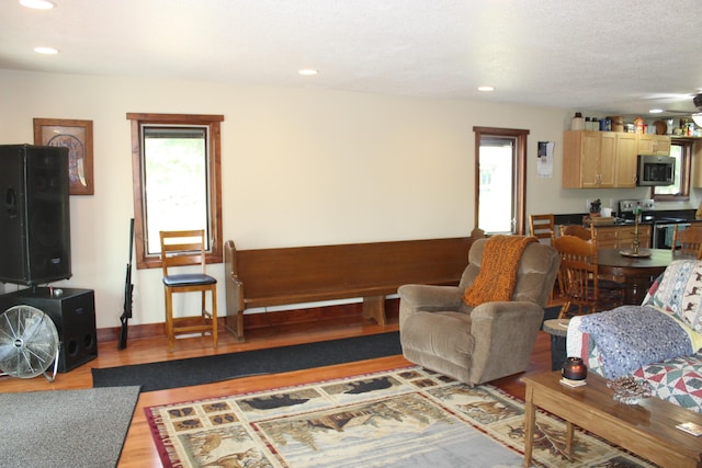 3009 NE Trl, Grayling, MI 49738 - living area with wood finished floors and recessed lighting
