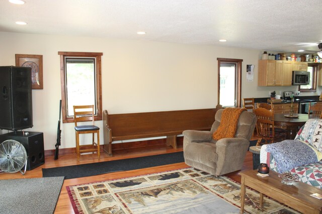 3009 NE Trl, Grayling, MI 49738 - living area with wood finished floors and recessed lighting
