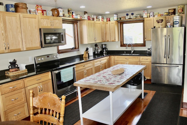 3009 NE Trl, Grayling, MI 49738 - kitchen with appliances with stainless steel finishes, light brown cabinetry, dark countertops, and recessed lighting