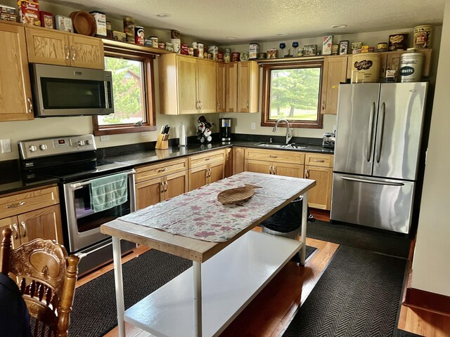 3009 NE Trl, Grayling, MI 49738 - kitchen with appliances with stainless steel finishes, dark countertops, a textured ceiling, and light brown cabinetry