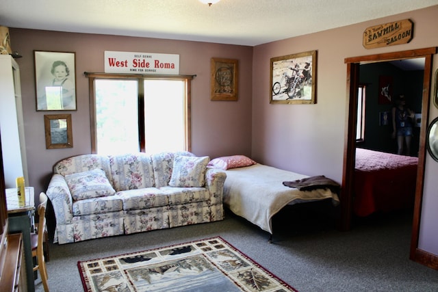 3009 NE Trl, Grayling, MI 49738 - bedroom with carpet floors