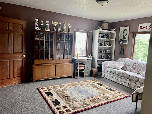 3009 NE Trl, Grayling, MI 49738 - living area featuring light carpet and a textured ceiling
