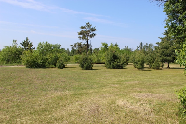 3009 NE Trl, Grayling, MI 49738 - view of green lawn
