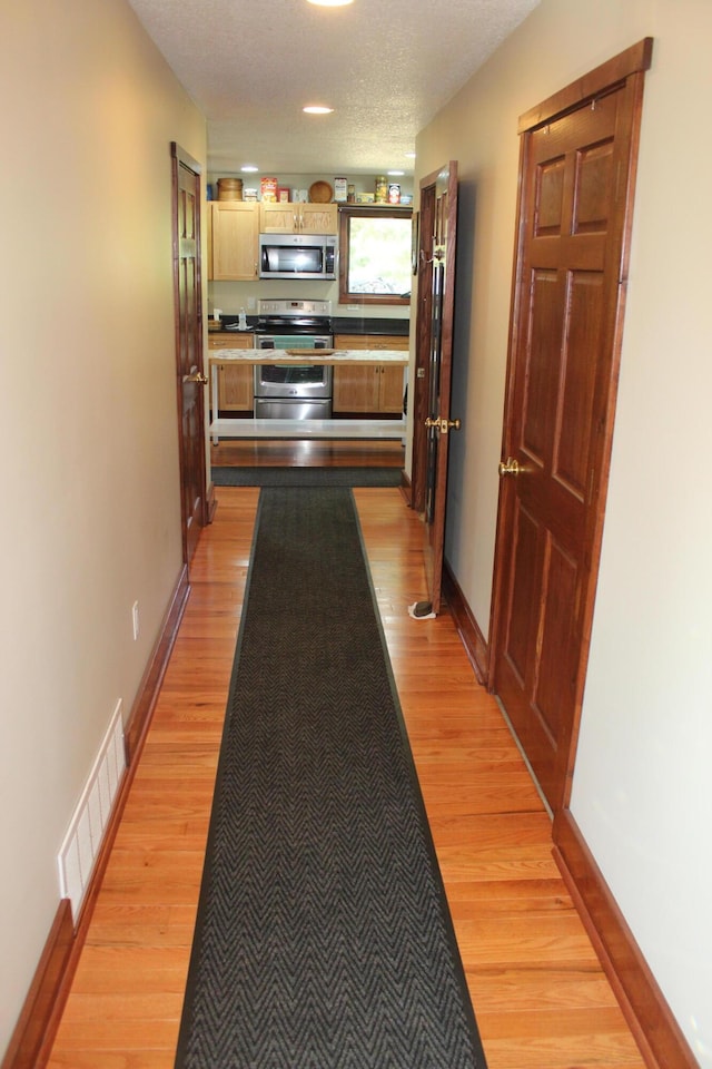 3009 NE Trl, Grayling, MI 49738 - hallway featuring light wood-style flooring and a textured ceiling