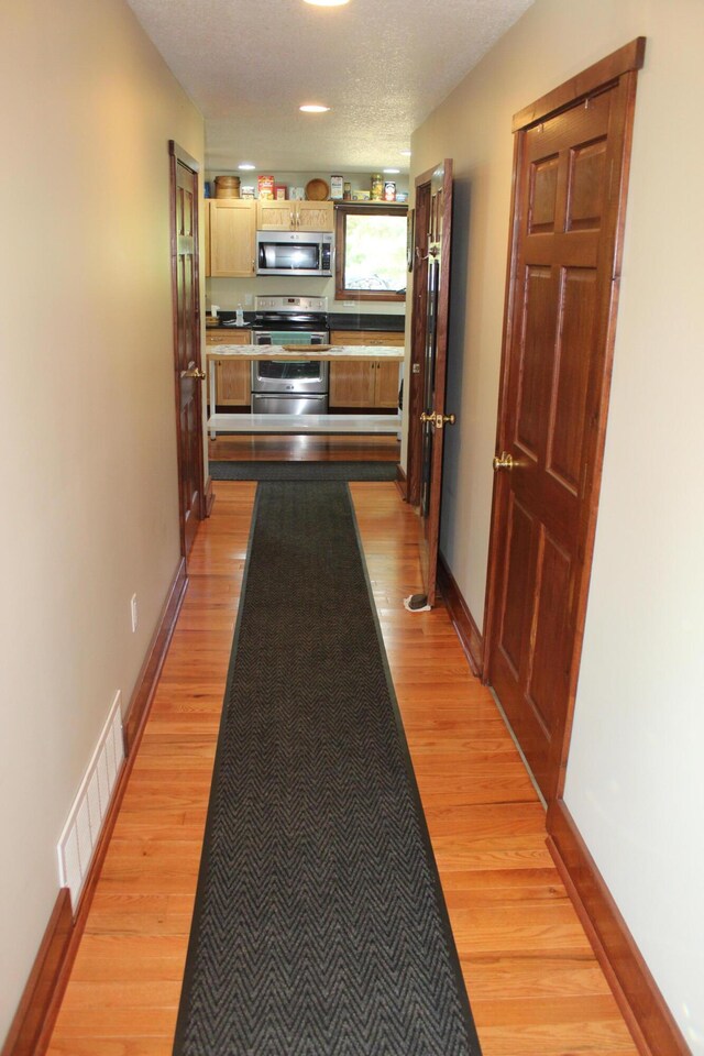 3009 NE Trl, Grayling, MI 49738 - hallway featuring light wood-style flooring and a textured ceiling