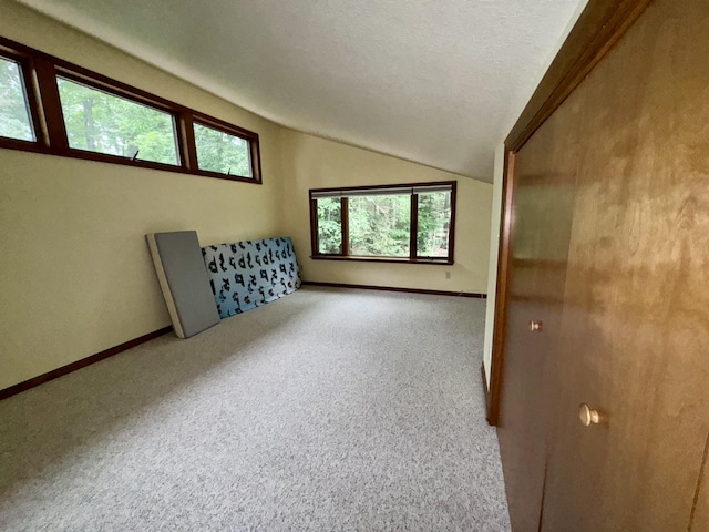 5200 Pine Grove Dr, Spruce, MI 48762 - carpeted empty room with vaulted ceiling, plenty of natural light, and a textured ceiling