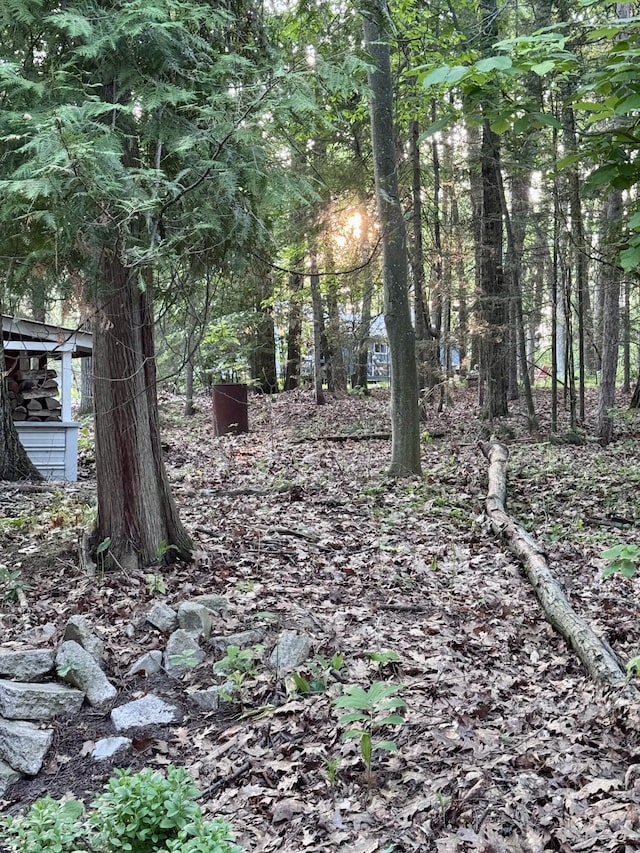 5200 Pine Grove Dr, Spruce, MI 48762 - view of wooded area