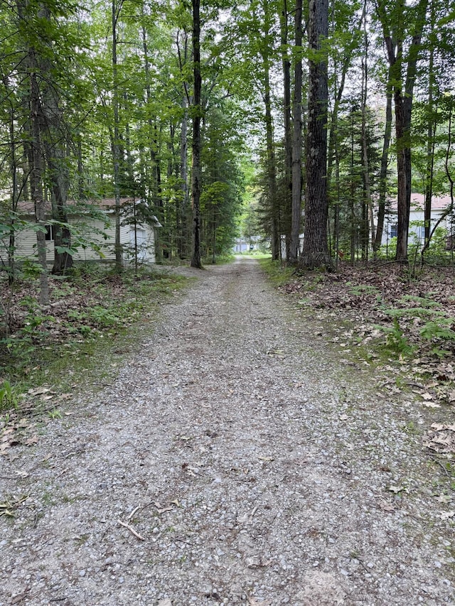 5200 Pine Grove Dr, Spruce, MI 48762 - view of road featuring a forest view
