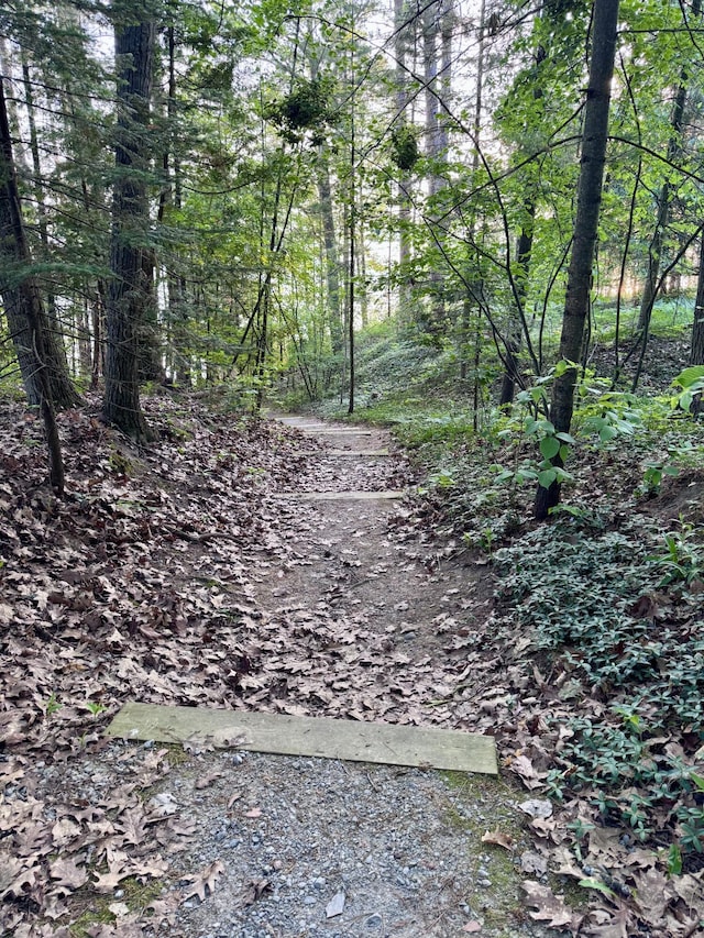 5200 Pine Grove Dr, Spruce, MI 48762 - view of wooded area
