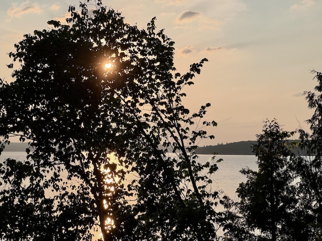 5200 Pine Grove Dr, Spruce, MI 48762 - water view