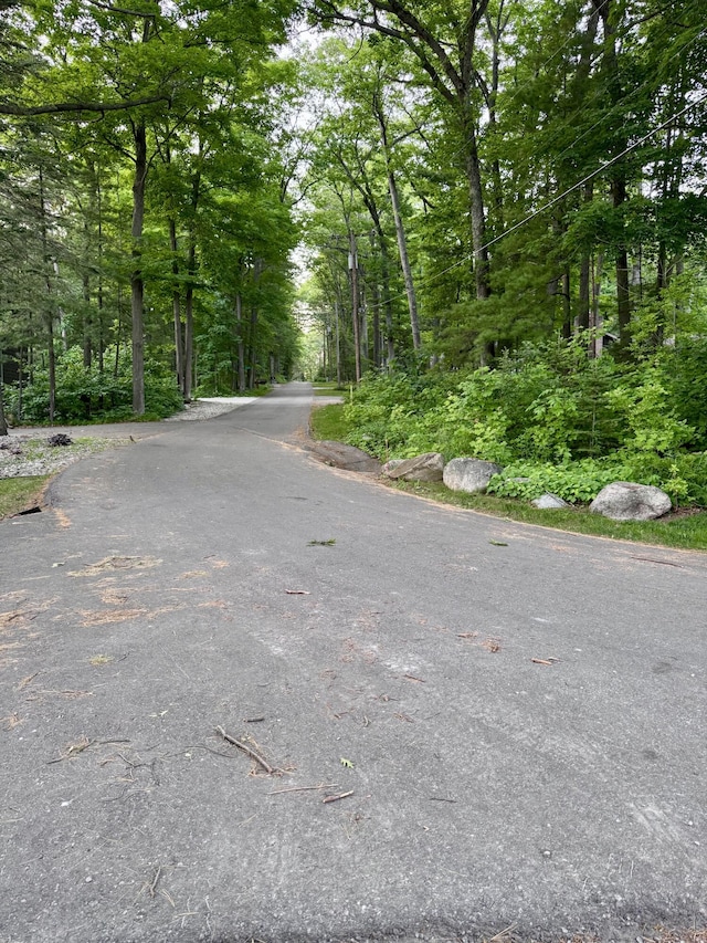 5200 Pine Grove Dr, Spruce, MI 48762 - view of asphalt road featuring a view of trees