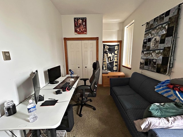 380 Church St, Saint Ignace, MI 49781 - view of carpeted office